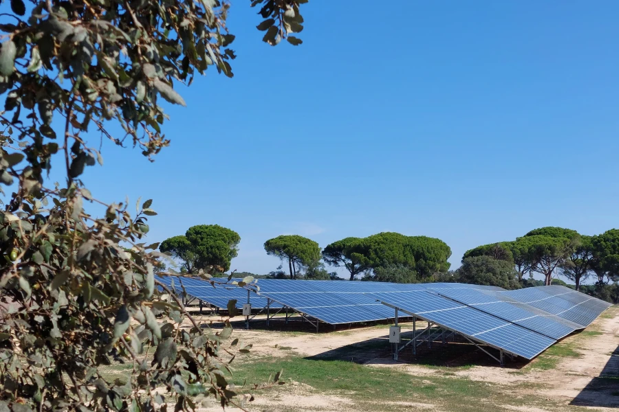 Planta fotovoltaica Algeruz, en Portugal.